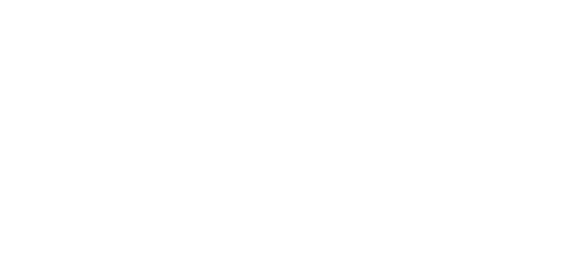 The Falcon Group